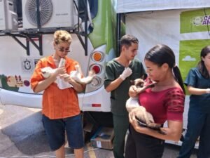 CastraMóvel abre inscrições para castração gratuita de cães e gatos em Rio Doce, em Olinda