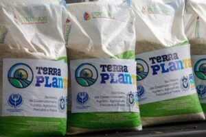 Terra Plantar: Raquel Lyra entrega fertilizantes em Palmares, beneficiando mais de 10 mil famílias produtoras de cana-de-açúcar